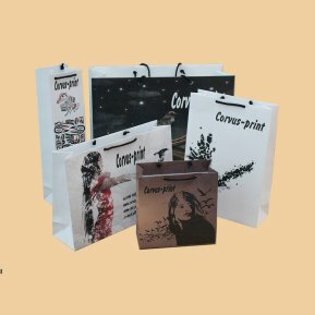 start_paper-bag_1000x1000